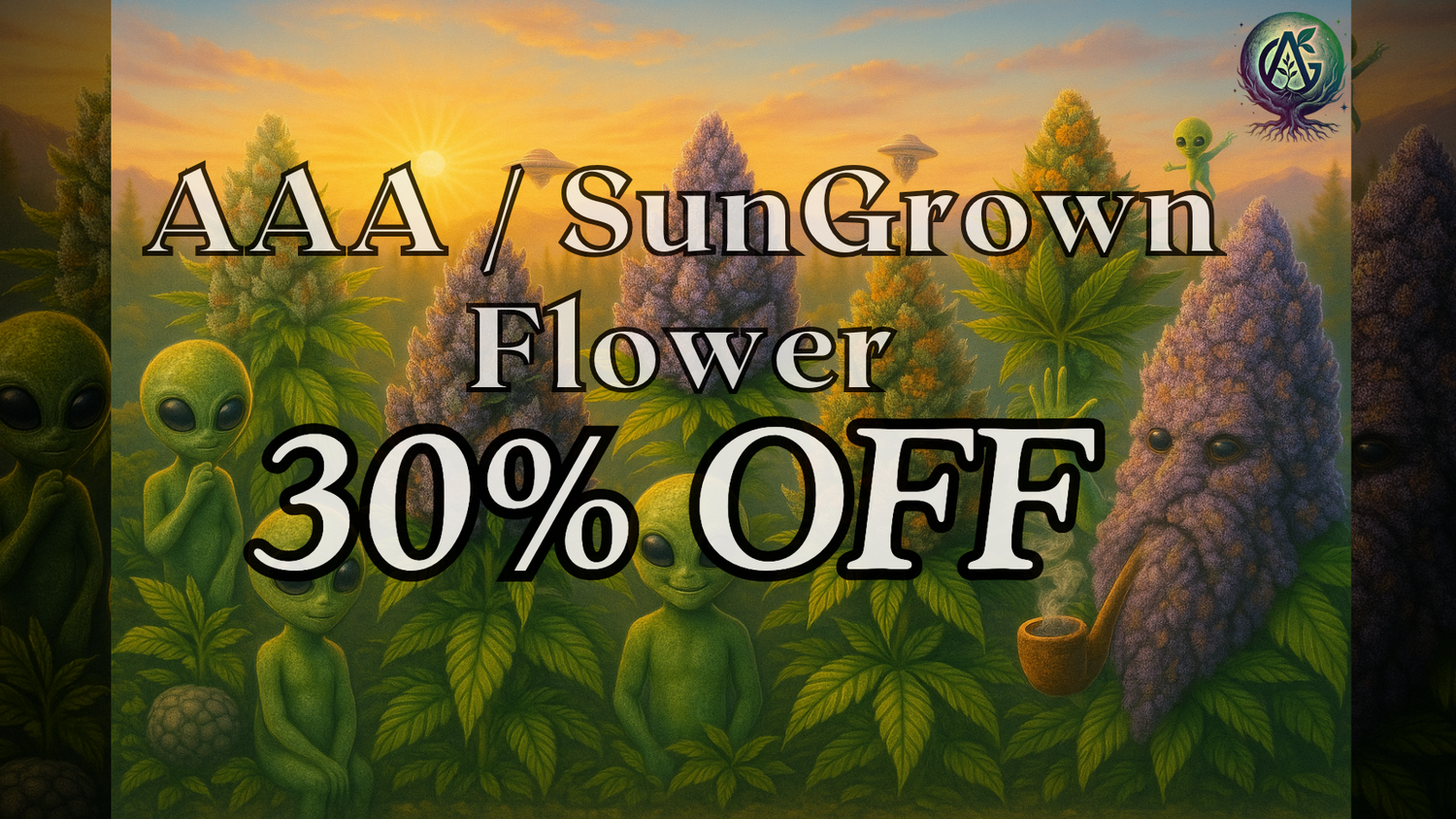 AAA / OUTDOOR Flower - 30% OFF