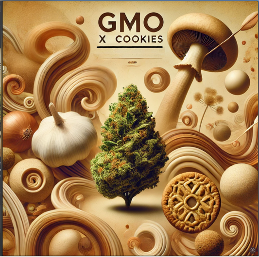 GMO x Cookies [ 5G - 1/8 OZ ] Exclusive *