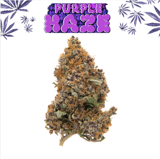 Purple Haze - 5G - [ TOP ] - Exclusive Flower