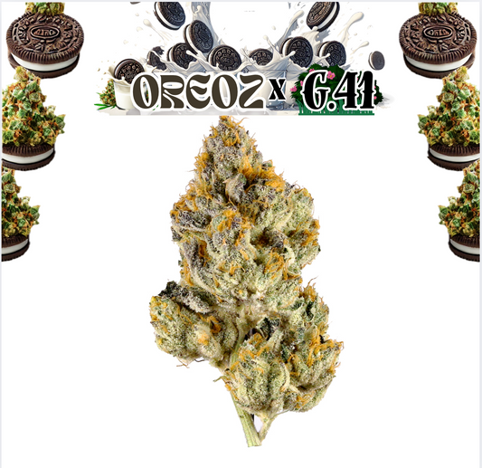 OREOZ x G41 - 14G - [ SUNGROWN ] - Exclusive Flower
