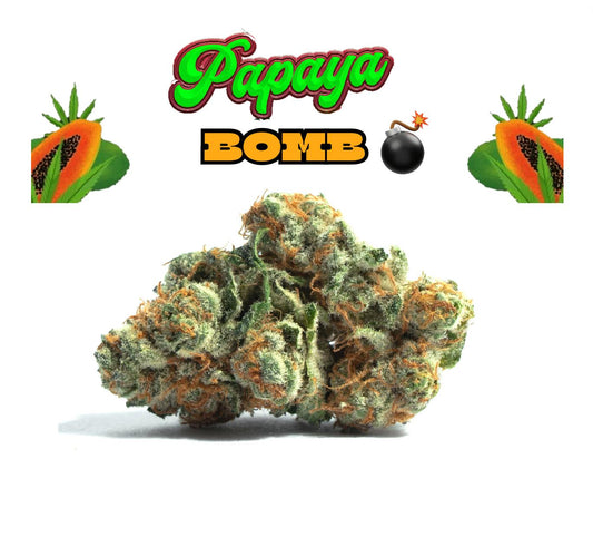 Papaya Bomb - 4G - [ TOP ] - Exclusive Flower