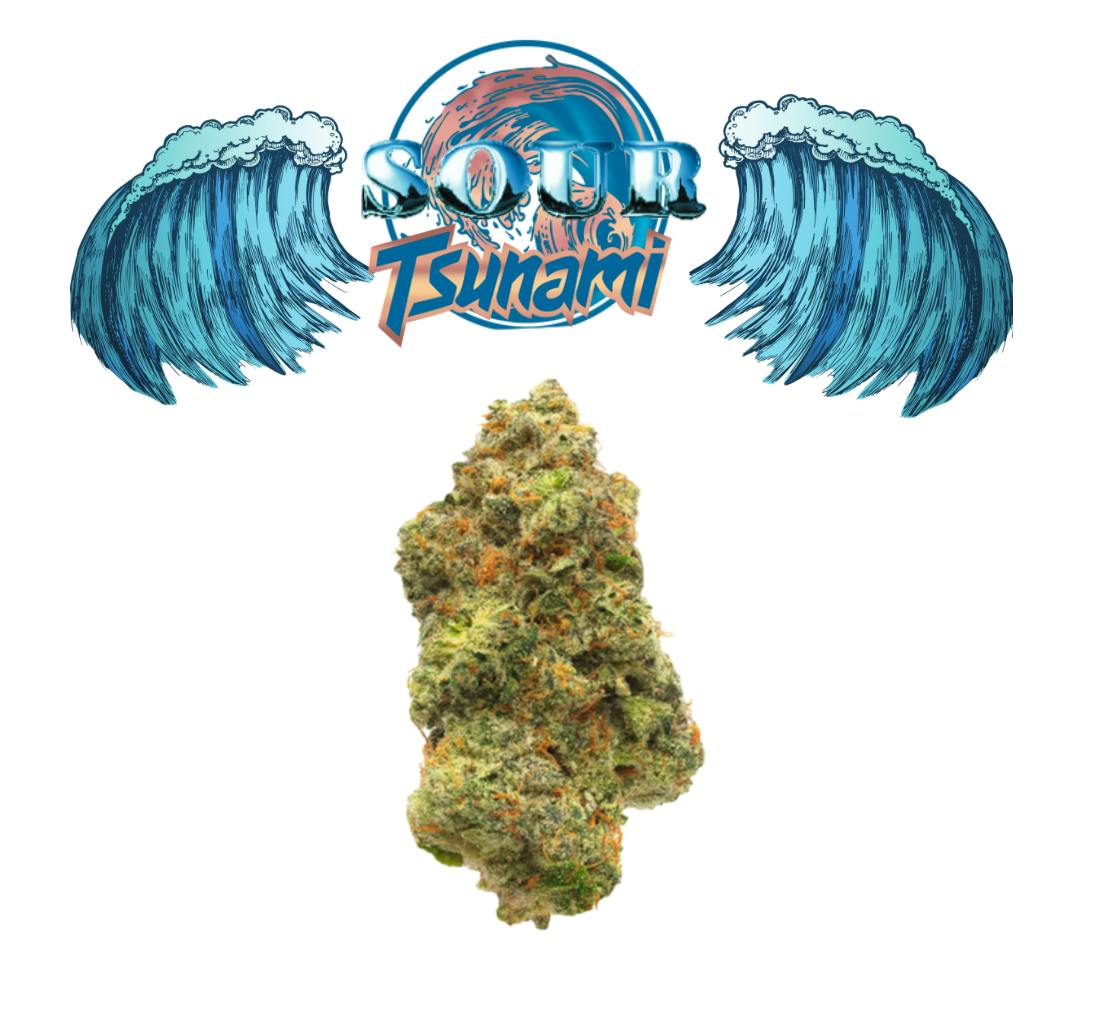 Sour Tsunami - 5G - [ AAA ] - Exclusive Flower