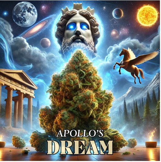 Apollo's Dream - 5G - [ TOP ] - Exclusive Flower