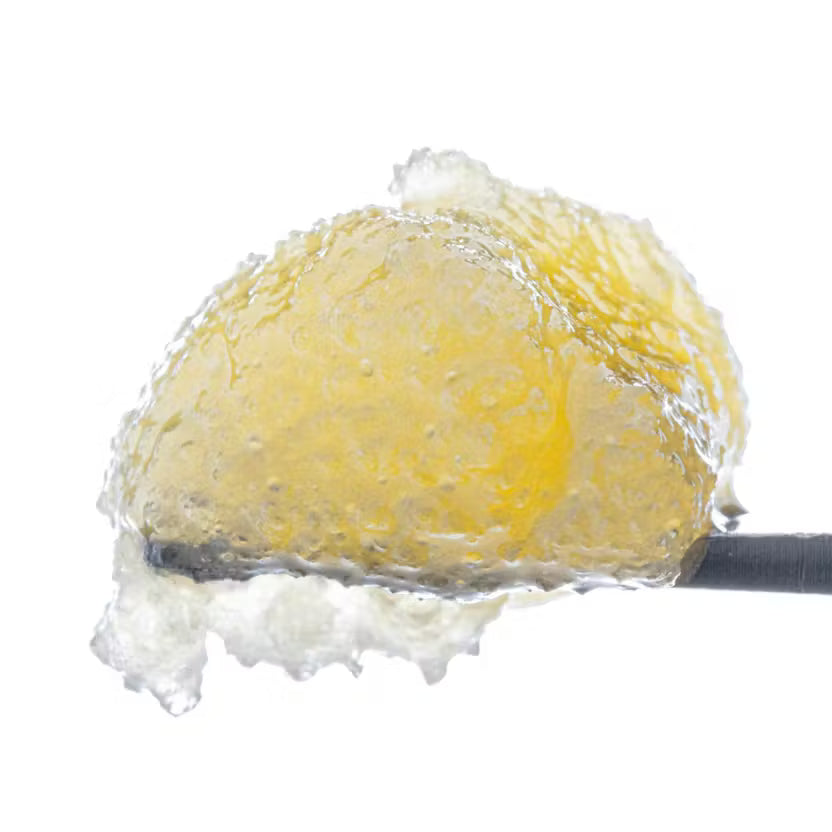 West Coast Cure Government Oasis ( Indica ) Live Resin Badder - 1G