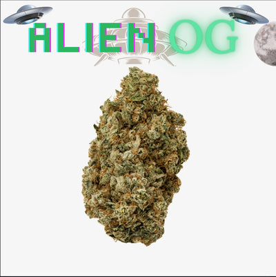 Alien OG - 14G - [ TOP ] - Exclusive Flower