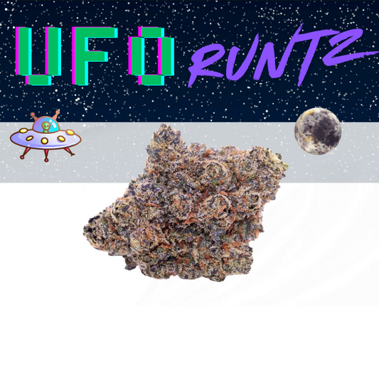 UFO RUNTZ - 14G - [ P.R. ] - Exclusive Flower