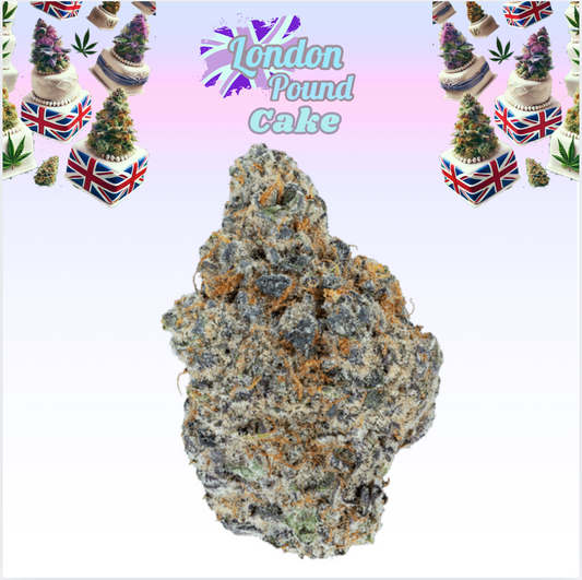London Pound Cake - 4G - [ EX Tier ] - Exclusive Flower