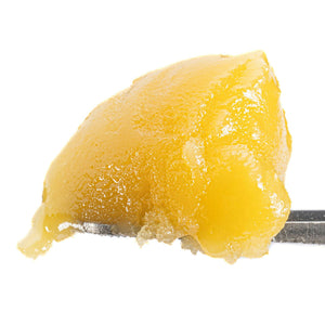 Dionysian Gold Rush [2G Live Resin Badder] Exclusive