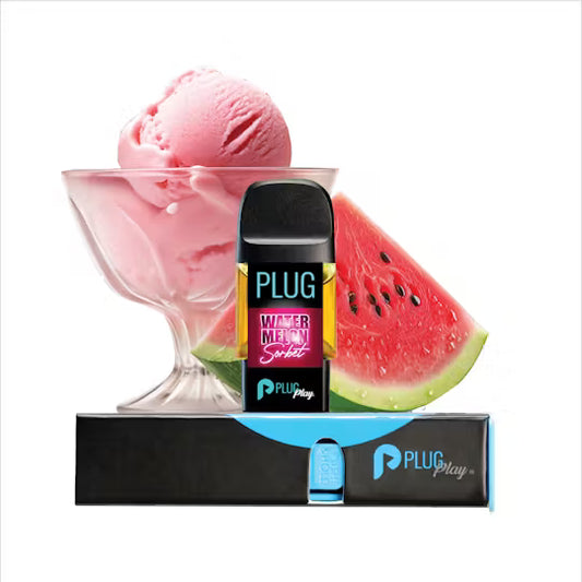 VAPE - 1g PLUG™ Washington: Watermelon Sorbet
