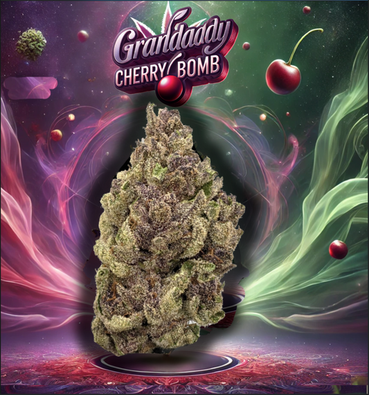 GrandDaddy Cherry Bomb ( Littles ) - 5G - [ TOP ] - Exclusive Flower
